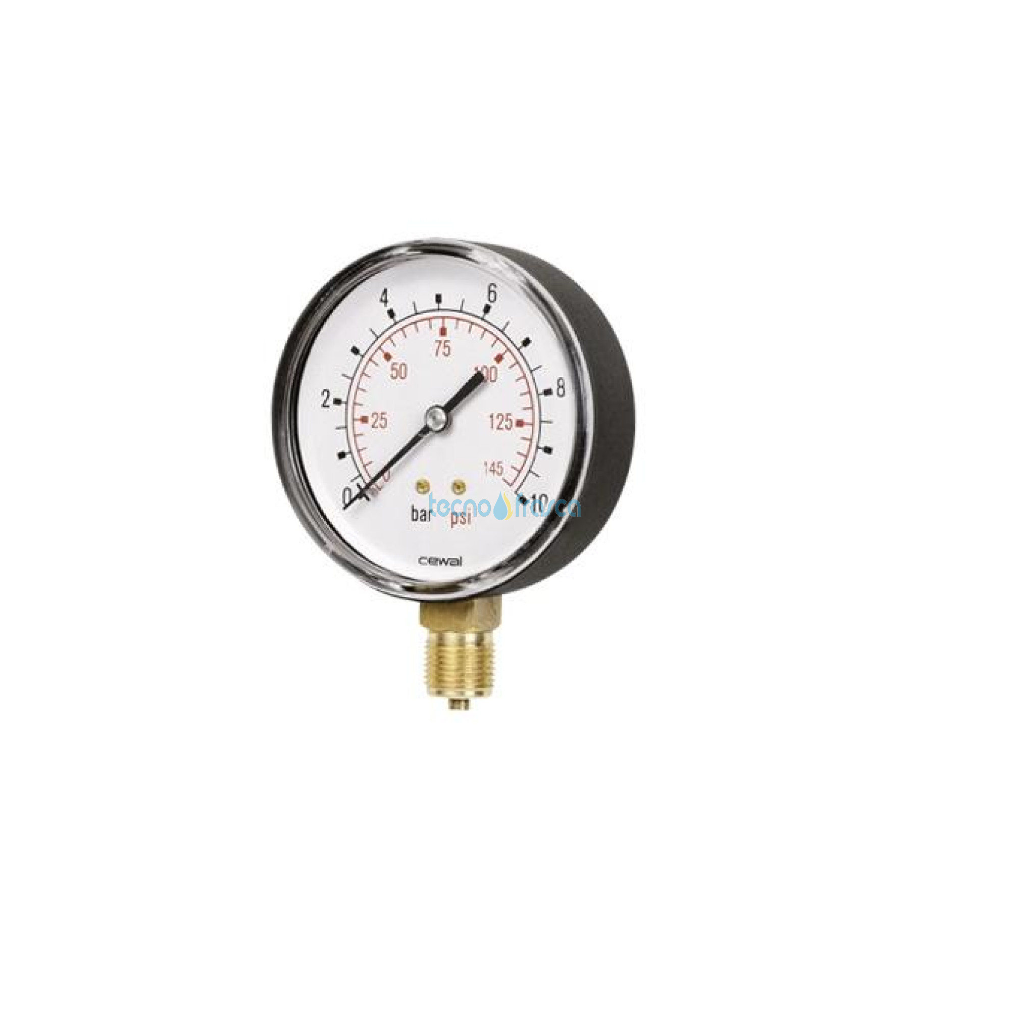 Idrometro d100 1/2"scala 16 91413013