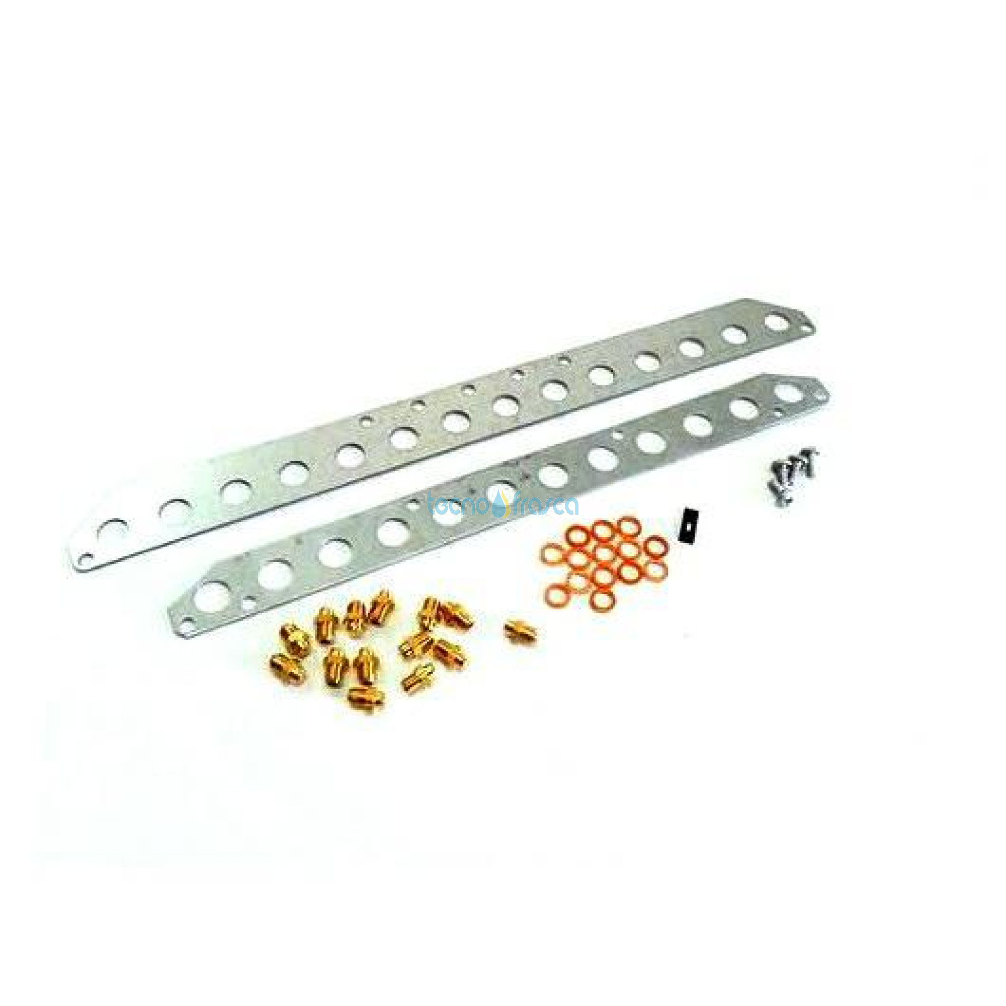 Sylber kit di Trasformazione gpl R01005409
