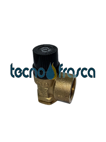 SYR Valvola Di Ritegno Completa Per HWS 2000 Plus