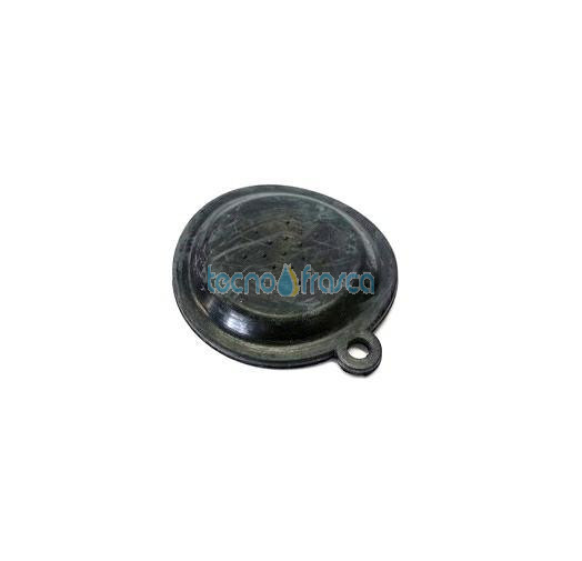 Baxi membrana con orecchietta jjj005405960