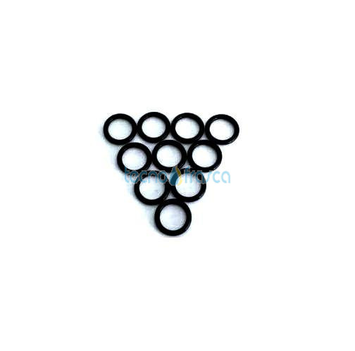 Beretta anello di tenuta 10pz R7999 4364205 R7999THM