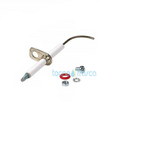 Sylber elettrodo di rilevazione r10026316 4365868