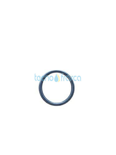 Sylber anello di tenuta r10026324 4365860