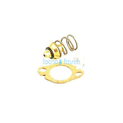 Vaillant valvola mancanza acqua gpl 115328