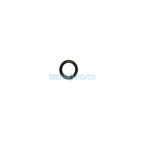 Saunier Duval o-ring 0020099118