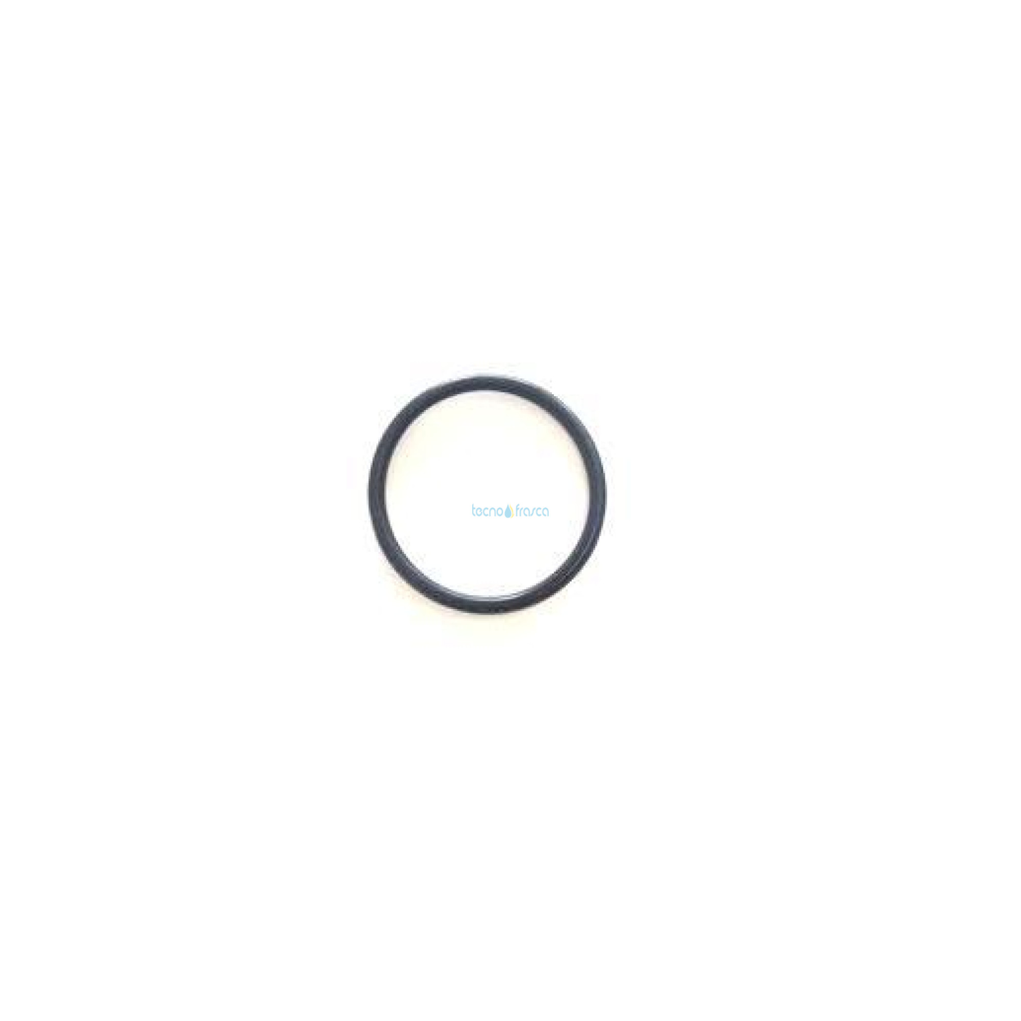 Ariston guarnizione or 21.89x2.62 65104320