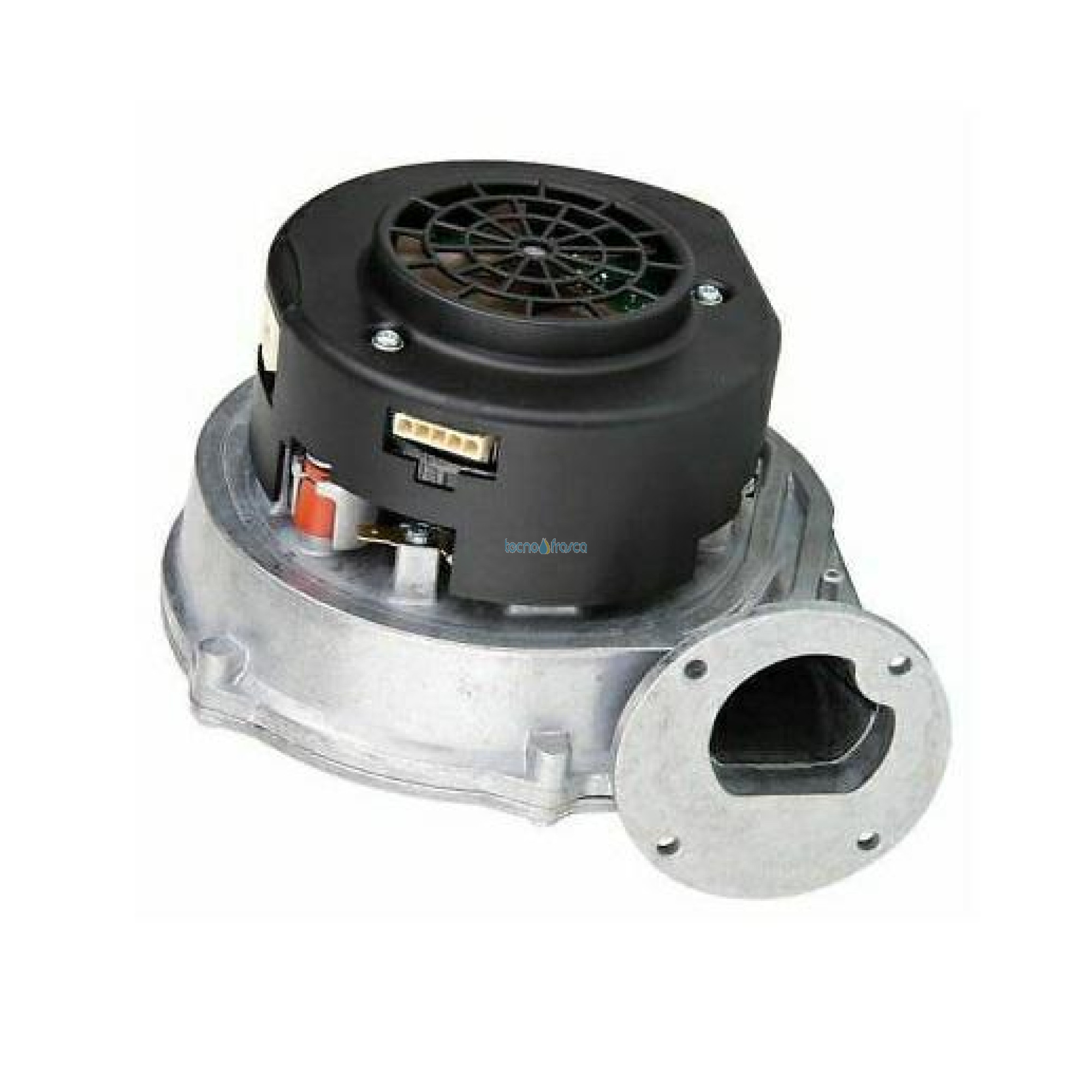 Savio biasi estrattore 70w rg128 bi1333112