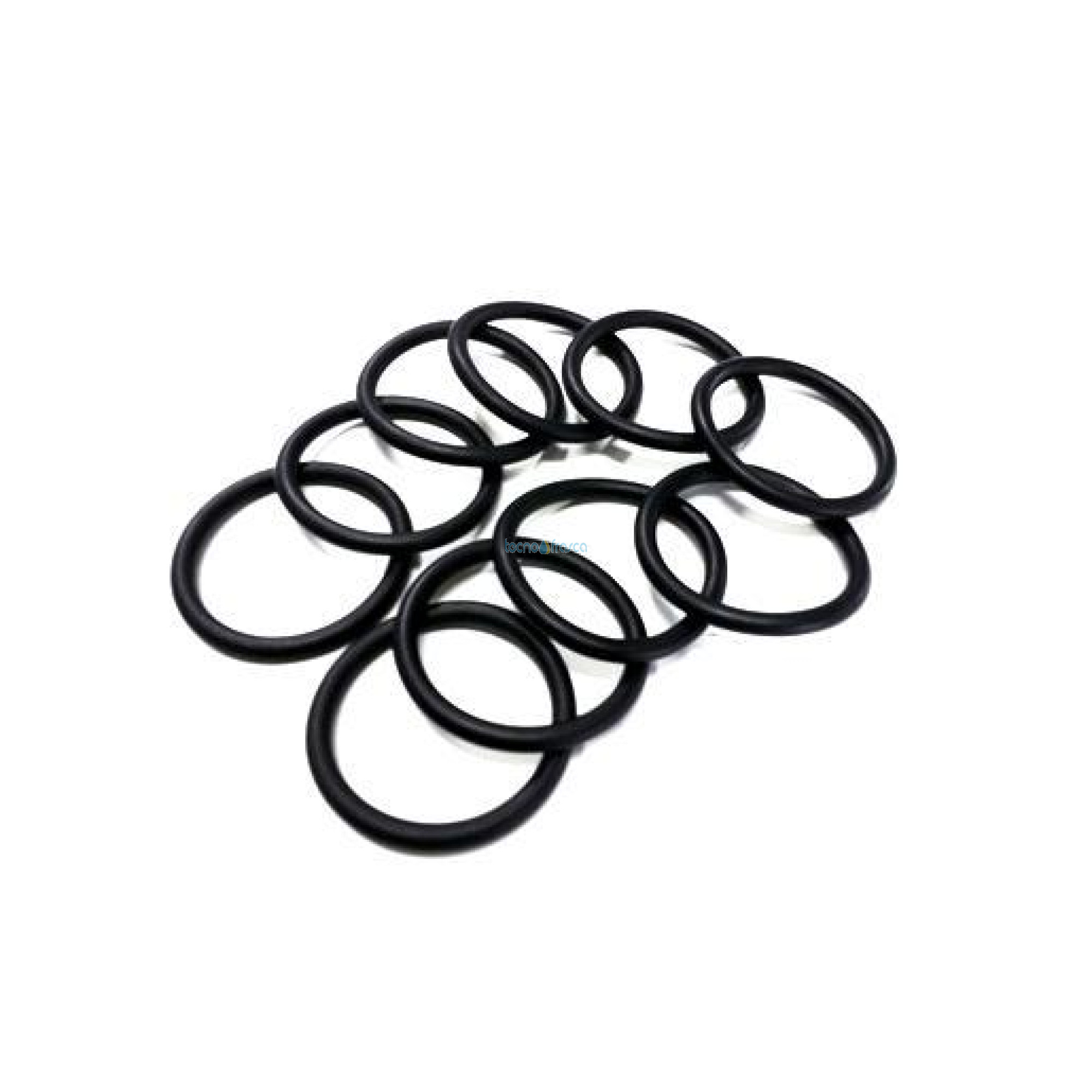Savio biasi guarnizione or 48.32x5,34 ki1031107