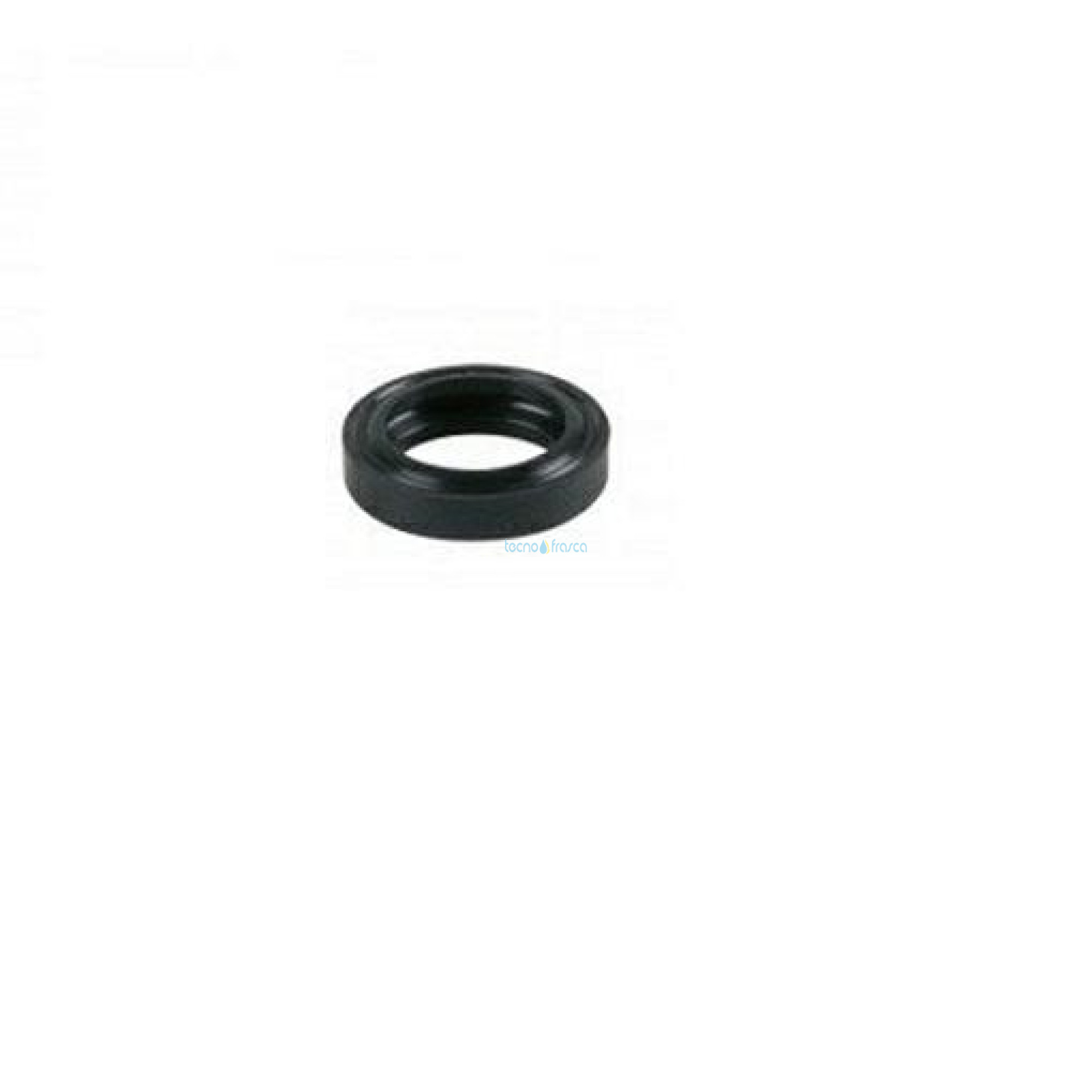Sylber guarnizione scambiatore sanitario r10025067 4365767