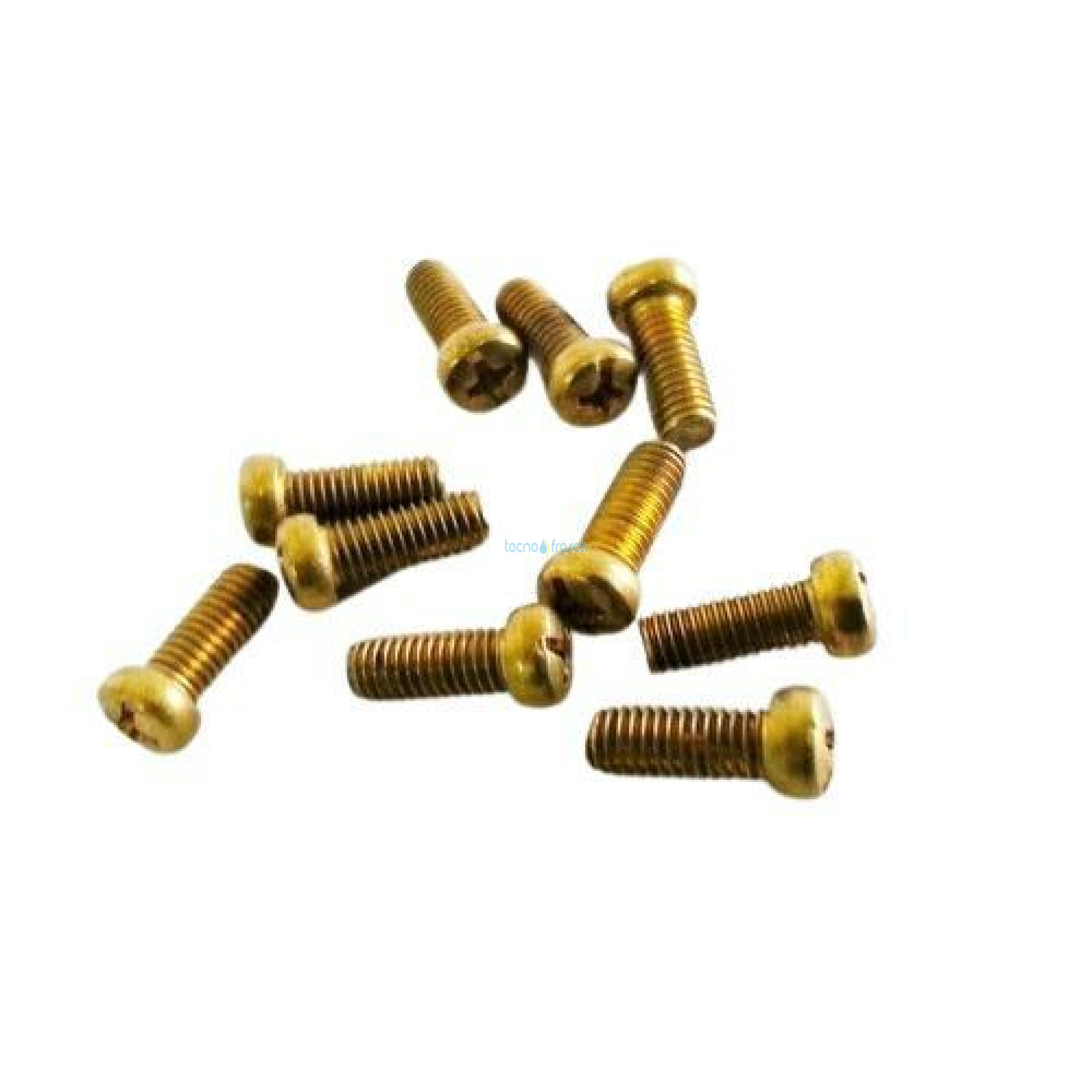 Sylber vite 10 pezzi R16D 