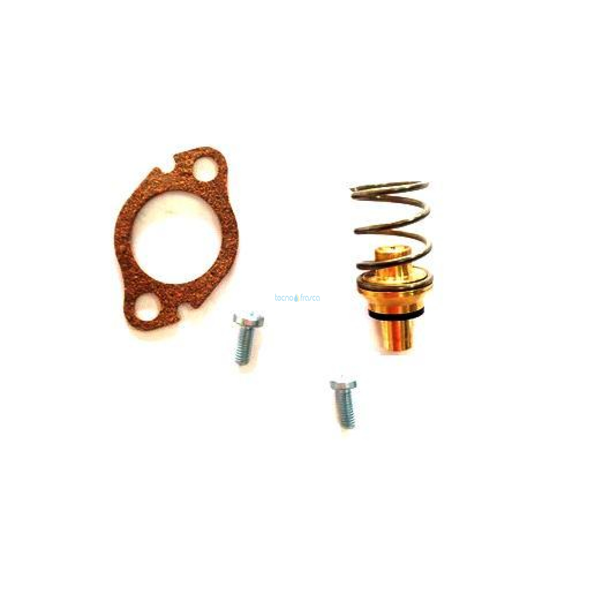 Vaillant valvola mancanza acqua 115325