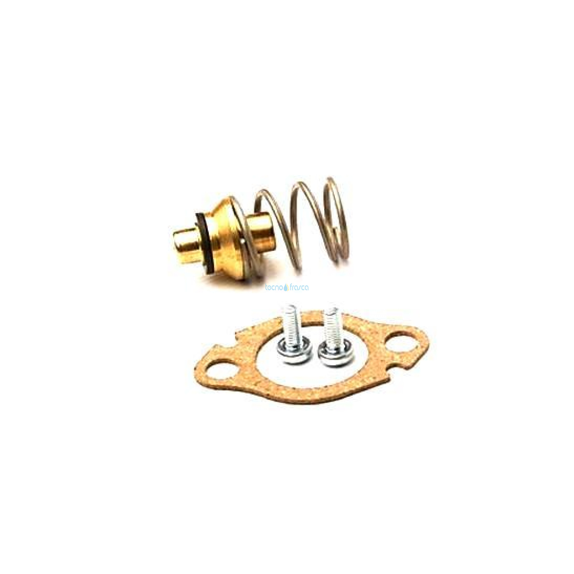 Vaillant valvola mancanza acqua gpl 115327