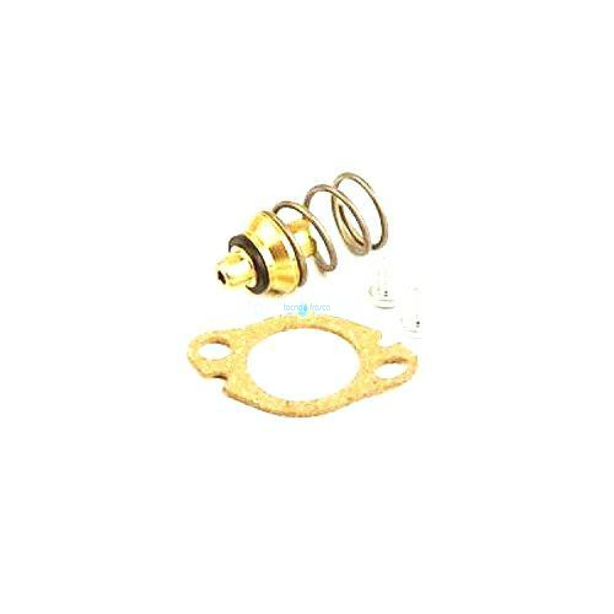 Vaillant valvola mancanza acqua gpl 115328
