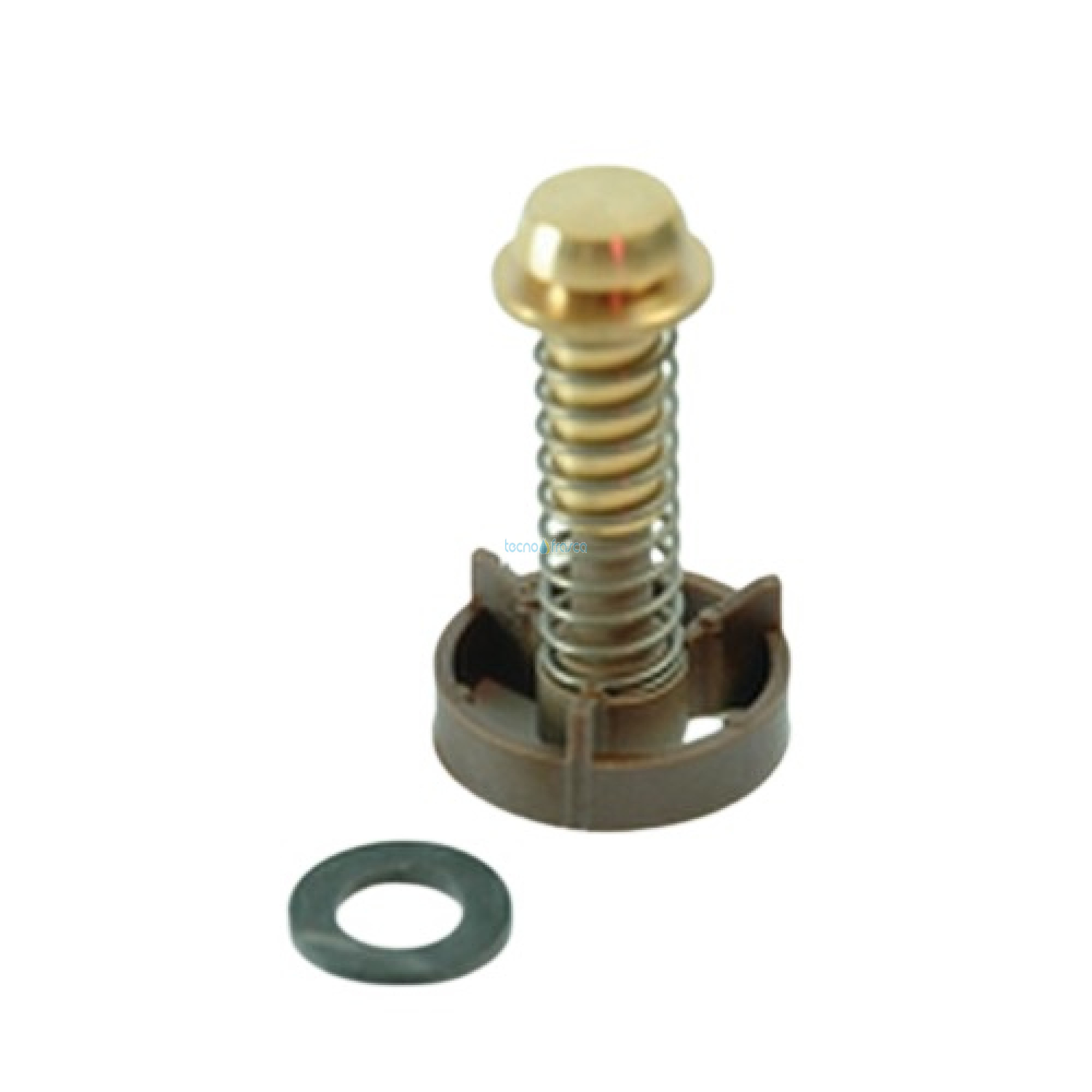 Chaffoteaux otturatore anti-ritorno Celtic, Pensotti 60081027