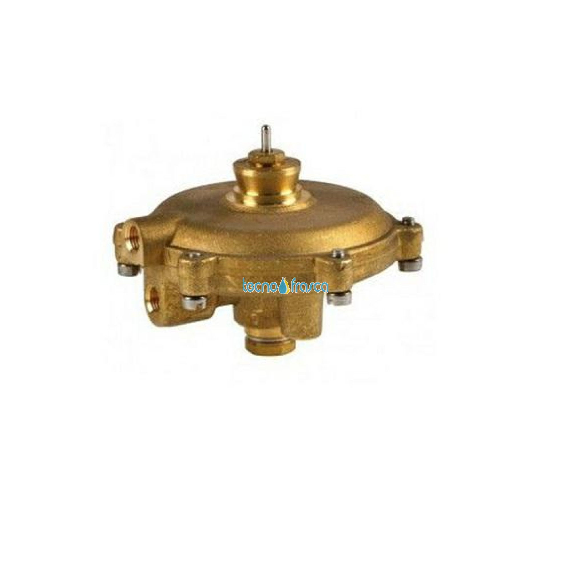 Riello gruppo membrana 4363779