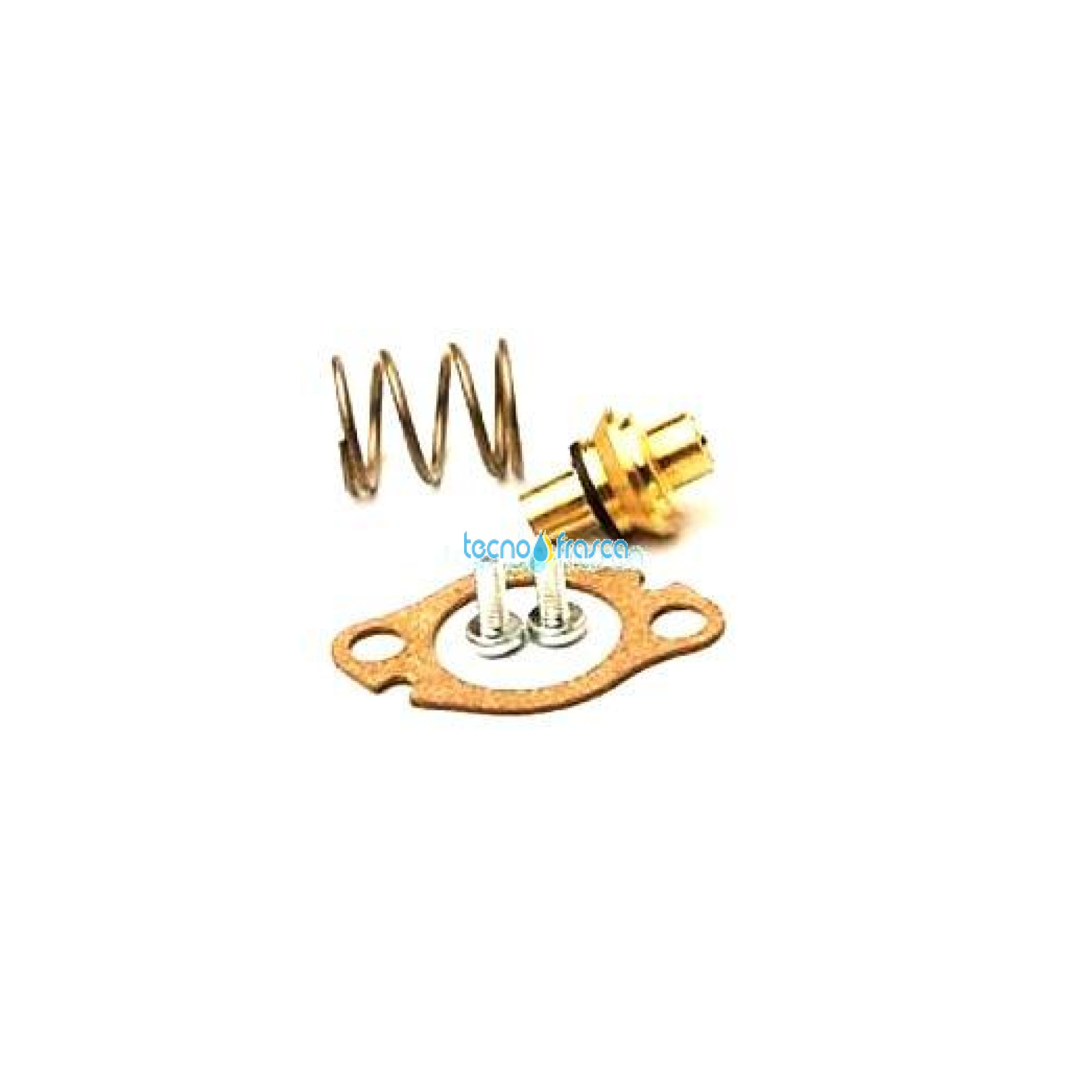 Vaillant valvola mancanza acqua gpl 115326
