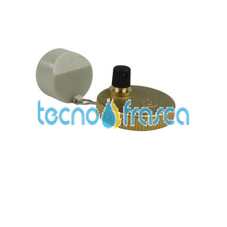 Savio Biasi valvola sfiato aria BI1172111