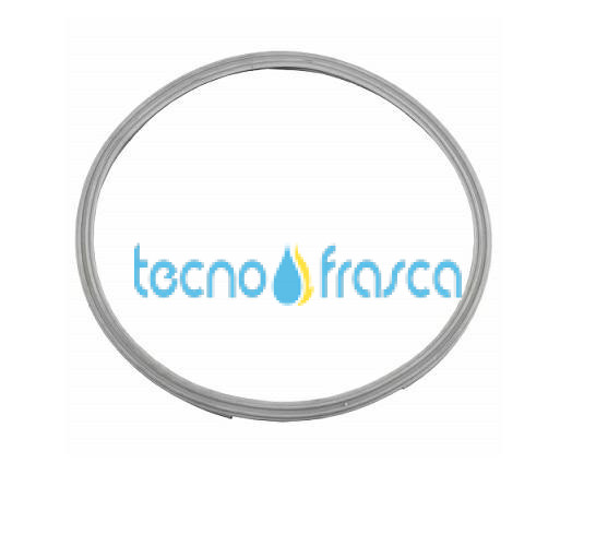 Immergas guarnizione collettore gas condens acciao victrix 1.038607