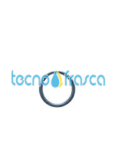 Riello guarnizione or 10pz 4364282 r6898