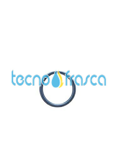 Sylber anello di tenuta r10026324 4365860