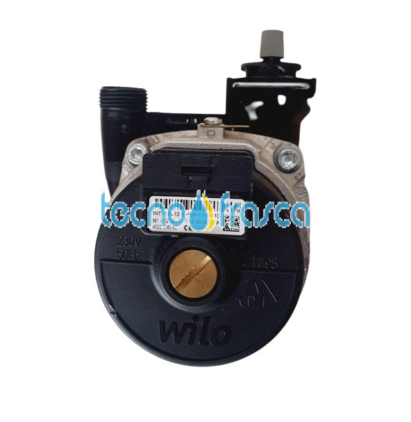 Savio Biasi Circolatore Pompa Wilo Intnfsl12/6 Bi1552104