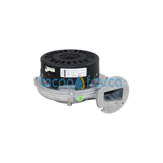Baxi Estrattore NRG118/0800-3612 Luna3 Comfort HT JJJ005693090
