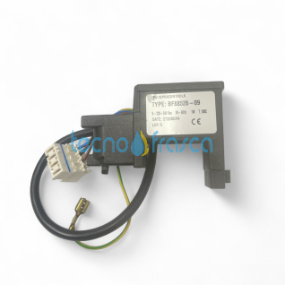 Ariston accenditore Cares XClas B Evo 65115791-01 ex 60001888