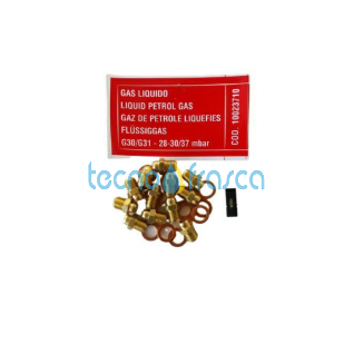 Riello kit trasformazione gpl 4364841