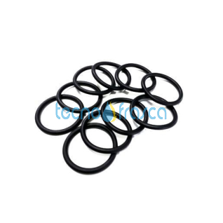 Savio biasi guarnizione or 48.32x5,34 ki1031107