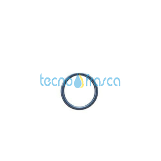 Sylber anello di tenuta r10026324 4365860