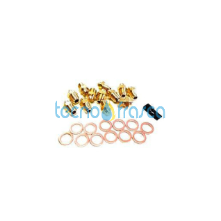 Sylber kit di trasformazione gpl r0530