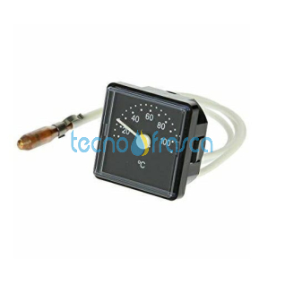 Vaillant termometro tb 0-100 101542