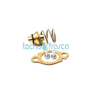 Vaillant valvola mancanza acqua gpl 115327