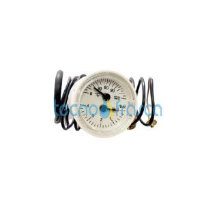 Savio biasi Termoidrometro diam. 43 0-4 bar 0-120°C BI1555100