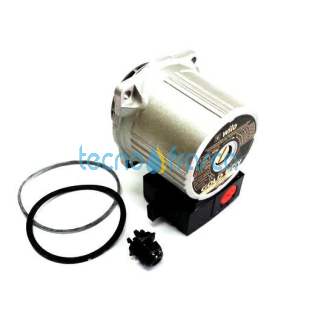 Ecoflam pompa circolatore solo motore Desy Linda 996615