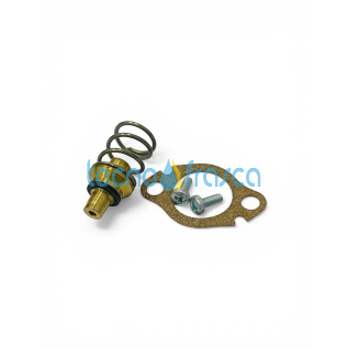 Vaillant valvola mancanza acqua 115325