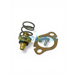 Vaillant valvola mancanza acqua metano 115323