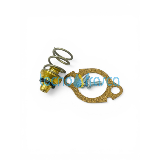 Vaillant valvola mancanza acqua gpl 115328