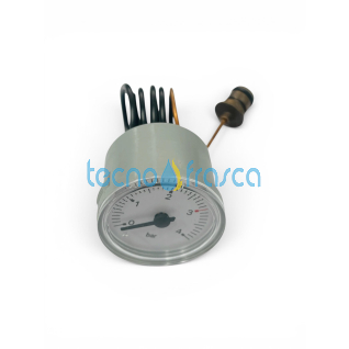 Beretta idrometro ad innesto rapido R2468