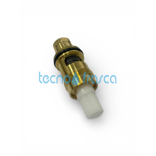Baxi filtro con molla 711633700