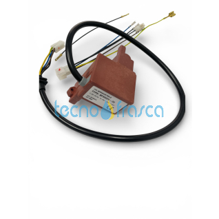 Ecoflam trasformatore di accensione Desy Linda+ 65100514