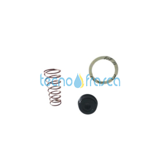 Saunier duval trasformazione gas g20-g30/31 SEMIATEK F24 0020042554